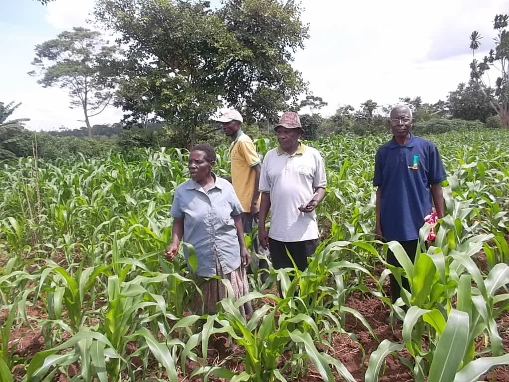 Sustainable Agriculture